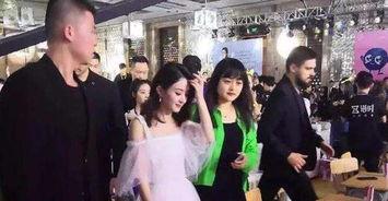 娱乐圈吃瓜观众,揭秘明星背后的故事