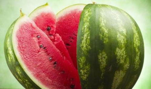 番茄小说吃瓜娱乐圈,番茄小说中的吃瓜日常